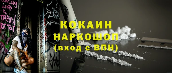 стаф Алзамай