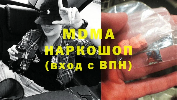 стаф Алзамай