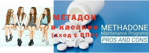 стаф Алзамай