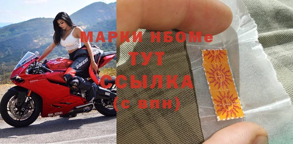 стаф Алексин