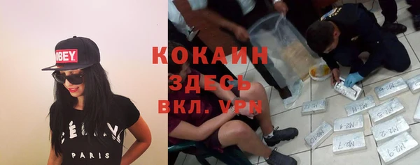 стаф Алексин