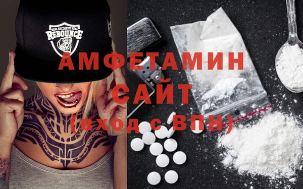 стаф Алзамай