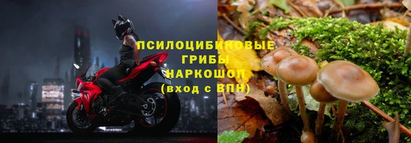 стаф Алексин